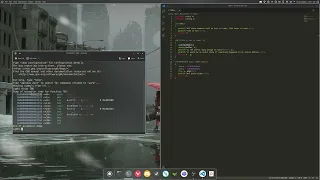 Demonstrating buffer overflow attack