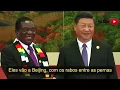 the awekeness of African continent by professor lumumber