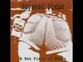 Dueling Banjos - Hayseed Dixie