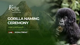 🔴LIVE : Gorilla Naming 2026 | Kwita Izina ku nshuro ya 21 | 04 September 2026