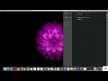 Filling Empty Dictionary Complete Python Course from Basics to Brilliance