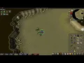 OSRS Drops - Dragon Pick 7kc Kalphite Queen Drop