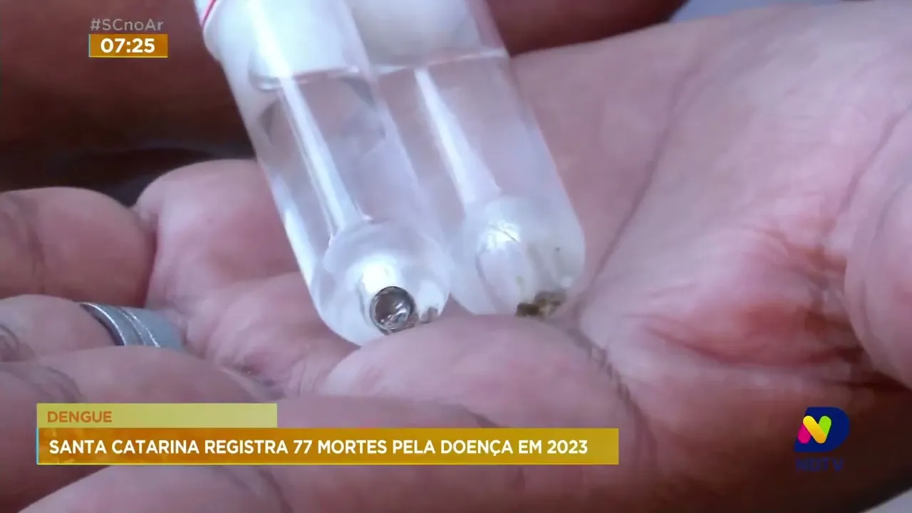 Acompanhe os dados atualizados sobre a dengue em SC