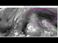 Tropical Tidbit for Monday Evening October 8th 2018