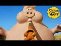 Download Lagu Pigs in trouble 🐑 Shaun the Sheep 🐑  - Cartoons for Kids 🐑 Full Episodes Compilation [1 hour]