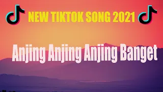Download New Viral Tik Tok Song | Anjing Anjing Anjing Banget DJ MP3
