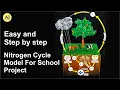 science model ideas Nitrogen Cycle Model