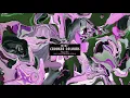Crooked Colours - Falling (Nils Hoffmann Remix) [Official Audio]