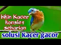 Download Lagu MASTERAN BIKIN KACER KONSLET SEHARIAN SUDAH TERBUKTI
