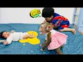 Download Lagu How monkey Diana and Roma react when they see a baby !poop