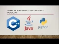 Java Programming Series Primitive Types
