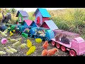 Lagu Truk Gandeng Angkut Bebek, Itik, Kelinci Lucu, Marmut, Ayam Warna Warni Dan Ayam Serama