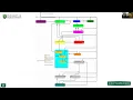 An Overview of Agent-Based Simulation Modeling with Examples