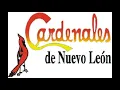 CARDENALES DE NUEVO LEON   SI YO FUERA EL