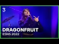 Download Lagu Dragonfruit met o.a. 'Know Better' en 'Lonely' op ESNS 2022 | NPO 3FM