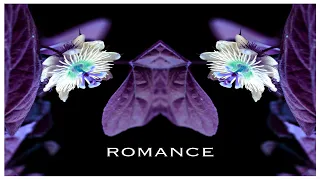 Download Basic Tone - Romance MP3