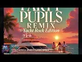 Party Pupils Remix (Mix By DJ MC MELLO)
