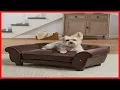 Quality product - Enchanted Home Pet Ultra Plush Cleo Pet Sofa in Brown