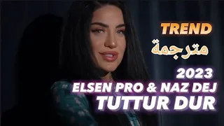                        مترجمة      دندنها