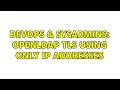 DevOps SysAdmins openLDAP TLS using only IP addresses