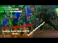 Download Lagu Bocil Mendem Cakil \