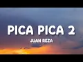 Download Lagu Juan Reza - Pica Pica 2 (Lirik)