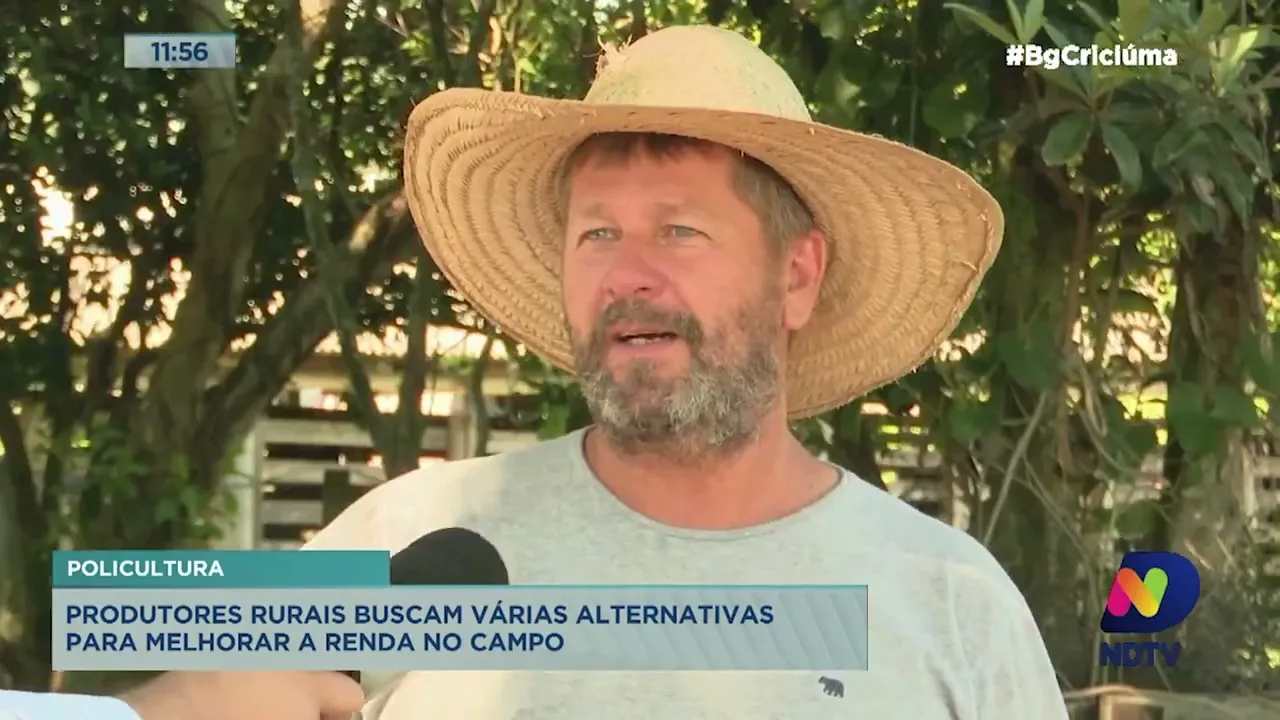 Produtores rurais buscam alternativas de cultivo com a policultura no Sul do Estado