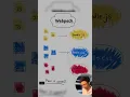 Webpack What is Webpack How does Webpack work