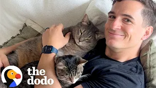 Guy’s Cats Insist On Being His Personal Weighted Blankets | The Dodo