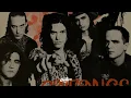 Caifanes - La Célula Que Explota (Letra)