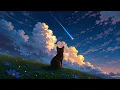 Live Wallpaper 4K Cat Watching Shooting Star