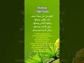 Download Lagu Sholawat Tibbil Qulub // Habib Syech bin Abdul Qadir Assegaf