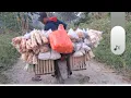 Download Lagu DINO IKI APES MOTOR E BAR MBLEBEK❓️.. BAND E BOCOR ..( untunge wes teko ndeso)