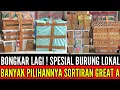 Download Lagu 🔴 UPDATE TERBARU ! BANYAK BURUNG GACOR PROSPEK HARGA DIJAMIN MURAH 0838-7553-6945