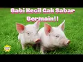 Download Lagu SUARA ANAK BABI NGOK..NGOK.. | PASUKAN ANAK BABI