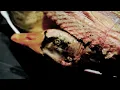Seamus D Like That (Remix DJSound)
