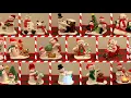 Hallmark Singing Snowman Compilation 2003-2025