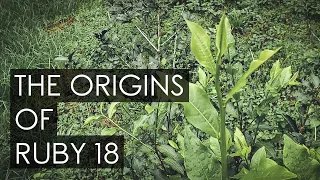 The Origins Of Ruby 18