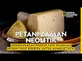 Download Lagu Orang Eropa Zaman Neolitik Membuat Keju dari Susu Banyak Hewan