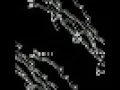 Langton Ant simulation