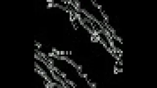 Langton Ant simulation