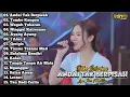 Download Lagu Andai Tak Berpisah, Tombo Kangen - Dike Sabrina Full Album 2025 | Dangdut Koplo