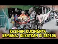 Download Lagu NGERIII POLLLL❗️😱❗️KUCINGNYA DITALI DIBAWA MENEMANI NGAMEN