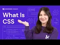 CSS basics What is CSS and why is it important