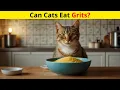 Can Cats Eat Grits