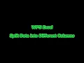 WPS Office Excel Split Data into Different Columns