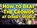 How to Beat the Crowds at Walt Disney World in 2022