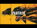 DJ LAW - PANTHER
