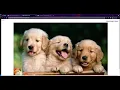DWC HTML and CSS Assignment 1