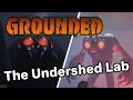 Grounded Exploring the Undershed Lab Fighting the Black Widow Spider and the MANT